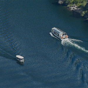 BOLSAS DE TEA CON RECLAMOS FEMININOS E DE IDENTIDADE NA CUARTA SESIÓN DO PROXECTO SOBERINO ‘REDES LILAS’
