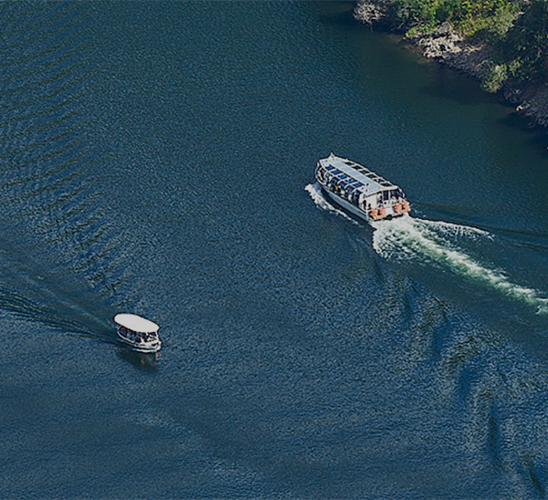 BOLSAS DE TEA CON RECLAMOS FEMININOS E DE IDENTIDADE NA CUARTA SESIÓN DO PROXECTO SOBERINO ‘REDES LILAS’