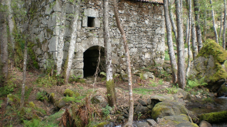 OLYMPUS DIGITAL CAMERA OLYMPUS DIGITAL CAMERA